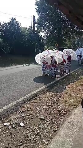 A group of people, likely women and girls, are walking in a line on the right side of a paved road. They are dressed in traditional clothing, including patterned sarongs and maroon tops with white trim. Each person is holding a large, white umbrella that appears to be made of paper or fabric, decorated with red accents. The umbrellas are open and held above their heads. The people are walking from left to right in the frame. The environment appears to be outdoors in a rural or suburban area, with trees and vegetation visible on the left side of the road and a structure with a sloped roof partially visible in the foreground on the right. The sun is shining, casting shadows.
