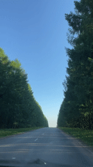 Rural forest road documented in Подшивалово, Russia