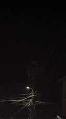 Nighttime street lamp illuminates utility pole with branching wires