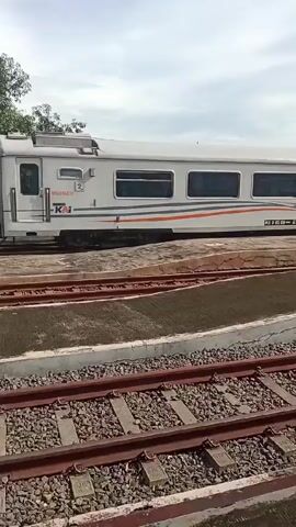 From a lower angle at what appears to be a train station platform, a train slowly moves along the track. The train cars are white with colored horizontal stripes and black windows. The camera follows the train as it passes by. As the train moves further along, a person wearing a uniform appears on the platform. The platform is made of concrete with two railway tracks. A small potted plant sits on the platform. The sky is overcast.