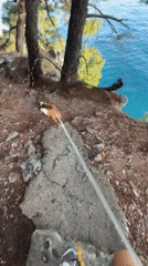 Afternoon moments captured in coastal Petrovac, Montenegro featuring dogs, music