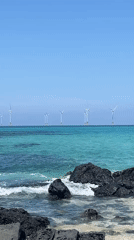 Sunny afternoon at Jeju's volcanic shoreline with offshore wind farm views
