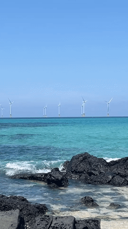 Sunny afternoon at Jeju's volcanic shoreline with offshore wind farm views