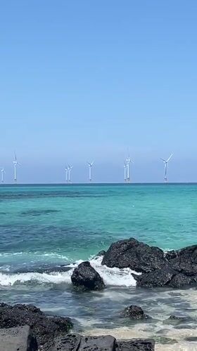 Sunny afternoon at Jeju's volcanic shoreline with offshore wind farm views