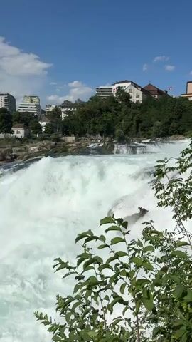 This video showcases the Rhine Falls in Dachsen, Switzerland, on a bright, sunny day with scattered clouds. The scene is dominated by the powerful, turbulent waters of the falls, which create a frothy white spray as they cascade over rocky outcrops. In the foreground, lush green foliage partially frames the view, adding a natural element to the majestic landscape.

Behind the falls, the viewer can see the town of Neuhausen am Rheinfall, with modern buildings and trees lining the riverbanks. A Swiss flag is visible flying from a prominent rock formation within the falls, a subtle indicator of the location. Construction cranes can also be seen in the distance, suggesting ongoing development. The water itself is a vibrant turquoise-green, contrasting with the white foam and the blue sky.

The activity captured is the natural spectacle of the Rhine Falls, emphasizing its raw power and beauty. While no people are clearly visible within the falls themselves, the presence of buildings and the boat on the river in the background suggest that it is a populated area, likely a tourist destination. The overall mood conveyed is one of awe and natural wonder, highlighting the impressive force of the water. The time of day appears to be midday or early afternoon, given the bright sunlight and clear shadows.