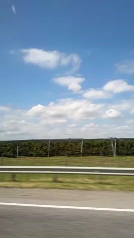 A side view from a moving vehicle captures a landscape under a blue sky with white clouds. In the foreground, a blurred asphalt road is visible with a white line. A metal guardrail separates the road from a grassy verge. Beyond the verge, a dense row of dark green trees or bushes, possibly an orchard or a field, is lined with a dark fence. A tall, thin metal pole stands vertically in the center of the frame. The video also shows a white tanker truck passing by, displaying hazard symbols and a green and red logo. The motion blur indicates the camera is moving at a considerable speed.