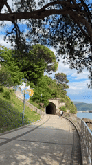 Coastal pathway activity recorded in Herceg Novi, Montenegro