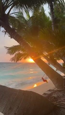 The video shows a beach scene at sunset. The sun is setting on the horizon over the ocean, creating a warm, orange glow. A palm tree trunk is prominent in the foreground, partially obscuring the view, with its leaves silhouetted against the bright sky. A small, red swing is hanging from the tree. The ocean is a light turquoise color, and gentle waves are lapping onto the sandy shore.  The water reflects the light from the setting sun. People appear to be swimming in the ocean in the distance.