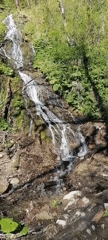 Spring forest walk documented near Chvizhepse, Russia waterfalls and streams
