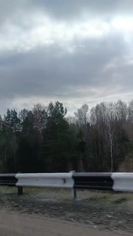 The video depicts a roadside scene under an overcast sky. The camera, likely mounted in a moving vehicle, captures a view of trees lining the side of a road. The trees consist of a mix of evergreens and bare deciduous species. A white guardrail with black markings runs along the edge of the road, closer to the camera. The road itself appears to be unpaved or covered in dirt. There are no discernible people or interactions visible in the frame.