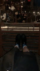 Nighttime gathering captured from multiple angles in Moscow venue