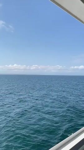 The video captures a wide, expansive view of the open ocean under a bright, clear blue sky. A few scattered white cumulus clouds are visible, particularly forming a thin line along the distant horizon. The sea is a deep blue-green, with gentle ripples and shimmering reflections from the sunlight. In the bottom right corner of the frame, a white structural element of the boat or vessel from which the video is being filmed is visible.

Distant land can be vaguely seen on the horizon, partially obscured by the cloud line. The camera appears to be stable, indicating movement on a boat across the water, likely offshore from Punta de Araya, Venezuela, given the context. The time of day is clearly daytime, suggesting late morning or early afternoon due to the high sun and bright conditions. The weather is fair and sunny. There are no people or discernible text visible in the video. The overall impression is one of calm, open vastness at sea.