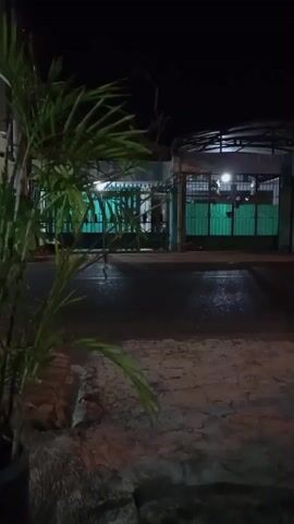 At night, a street is visible. In the foreground, a potted plant with green leaves is on the left. The street is wet and reflects the lights from buildings. In the background, there are buildings with green gates. A person walks across the street from left to right. The overall environment is dark, suggesting it is nighttime.