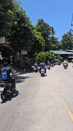 Scooter group rides through Ko Tao streets at dawn
