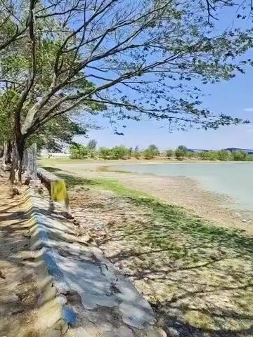 The video shows a view of a calm body of water under a clear blue sky with scattered clouds. A large tree with bare branches hangs over the foreground, casting shadows on the ground. The ground slopes down to the water's edge, which appears to be a mix of dry dirt and sparse vegetation. In the distance, a line of trees and some buildings are visible. The camera pans slightly to the right, revealing more of the shoreline and the expanse of water. There are no people or animals visible in the video. The overall impression is one of a quiet, natural landscape.