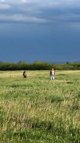 Two individuals, an adult and a child, are captured in a wide, open grassy field in Jastrebarsko, Croatia. The child, dressed in dark attire, is positioned to the left, appearing to run or move swiftly through the tall, green and golden grasses. Further to the right, the adult, wearing a light-colored vest over a long-sleeved shirt and light pants, stands with arms slightly outstretched, facing the child, suggesting an inviting or playful interaction.

A dense line of green trees and bushes forms the backdrop, separating the field from the distant horizon. The sky above is a striking element, showcasing patches of bright clouds alongside a large expanse of dark, deep blue-gray clouds, indicative of either an approaching or recently passed storm. The lighting suggests late afternoon or early evening. The overall scene conveys a sense of freedom and outdoor activity in a natural, rural setting.