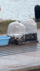 Lakeside activities captured by witnesses in Da Lat, Vietnam