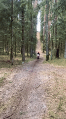 Dirt bike rider spotted on forest trail in Belarus