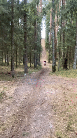 Dirt bike rider spotted on forest trail in Belarus