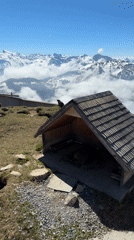 Marmots spotted on shelter roof, hillside near Dallenwil