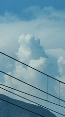 Bright daytime sky dominated by a billowing cumulus cloud