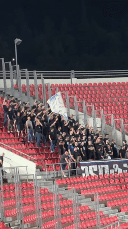 Football match at Mikheil Meskhi Stadium draws Lithuanian supporters