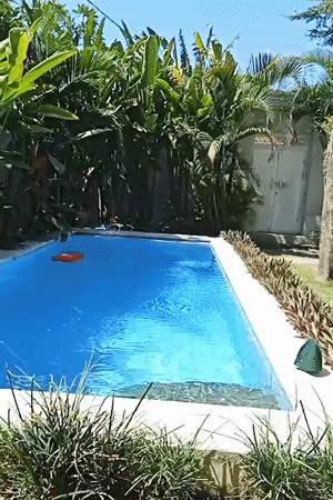 Bali villa tour: pool, garden, rooms, and ongoing construction