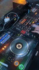 Animals, hand-feeding, and a DJ set at a Tiraspol park
