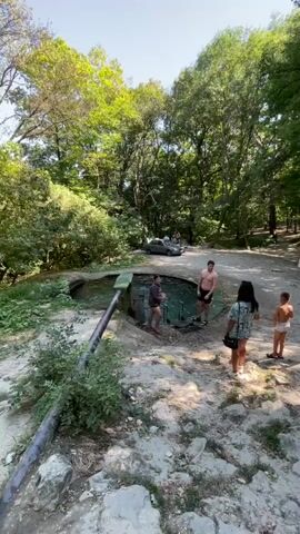 A group of people are gathered around a small, natural pool of water in a wooded area. The pool is surrounded by rocks and dirt, and a pipe extends from the edge of the pool. Several cars are parked in the background. One person is standing on the edge of the pool, and others are watching. The trees are lush and green, suggesting a warm climate. The sun is shining, creating dappled light on the ground. The video pans to the right, revealing more of the wooded area and more people standing near a motorcycle and a car. One person is holding a child.