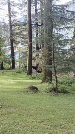 Manali, India