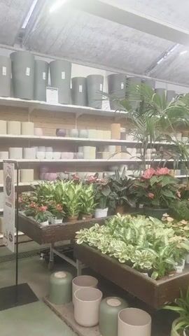 A greenhouse is filled with various plants, shelves of pots, and other gardening supplies. In the foreground, several tables are laden with potted plants of different varieties and colors. Some plants have lush green leaves, while others feature bright flowers in shades of pink, orange, and yellow. Behind these tables, more shelves are stacked with various sizes and colors of cylindrical pots, ranging from dark gray to light beige. The greenhouse has a transparent roof that allows natural light to filter in, illuminating the scene. In the background, the aisle stretches deeper into the greenhouse, lined with more displays of plants and gardening items. Two industrial fans are visible hanging from the ceiling, likely used for ventilation. Towards the end of the aisle, a few indistinct figures can be seen walking, suggesting the presence of customers or staff. The overall impression is of a well-stocked and organized garden center.