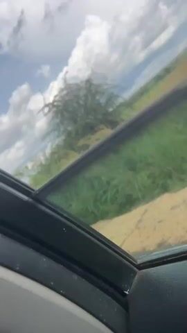 The video shows a view from inside a vehicle, looking out a window. The scenery outside consists of a vast green field, likely farmland or grassland, stretching towards a distant horizon under a cloudy sky. The camera is angled, giving the impression that the vehicle is moving. The foreground shows a portion of the car's interior, including the window frame and possibly part of the dashboard or steering wheel. The sky is filled with large, white cumulus clouds against a blue background, suggesting fair weather with some cloud cover. The overall impression is of a rural landscape seen during a journey.