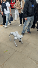 Four-legged robot draws crowd on London sidewalk