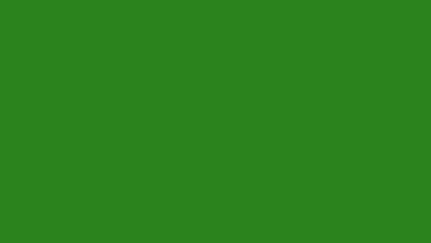 This media file is a short video clip, lasting approximately 5 seconds, that features a solid green background with no discernible subjects, objects, or discernible activity. The visual is entirely uniform and lacks any textual elements. The color appears to be a consistent shade of green, and there are no changes or variations in the visual field throughout the duration of the clip. As there are no visual cues, it is impossible to determine the time of day, weather, location, or emotions conveyed. The absence of any visual information makes it impossible to describe any specific scene, setting, or event.