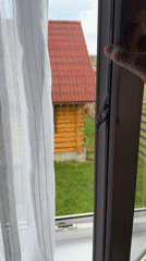 Early morning window opening reveals rural Russian landscape view