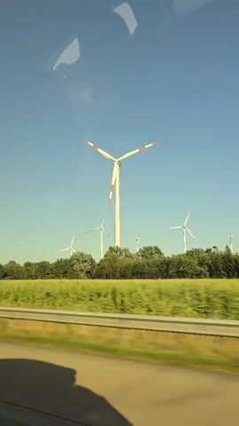 A video captures a view of several wind turbines situated in a field under a clear blue sky. The turbines, with their tall white towers and three rotating blades tipped with red, are spread across the landscape. They are surrounded by a line of green trees and a vibrant green field in the foreground. The camera appears to be moving, possibly from a vehicle, as evidenced by the slight blur of the trees on the right side of the frame. A road or path runs horizontally across the lower portion of the image. The lighting suggests a bright, sunny day.