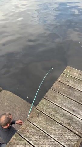 A man with short dark hair and a beard, wearing a black long-sleeved shirt, sits on a concrete ledge next to a wooden pier. He holds a light blue fishing rod that is significantly bent, indicating a catch. He actively reels in the fishing line from the dark water. A reddish-orange fish with lighter markings is pulled from the water by the lure attached to the fishing line and brought towards the man. The water's surface reflects the sky and shows slight ripples.