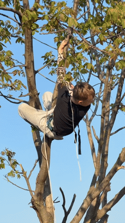 Children play outdoors in Russian cities during afternoon