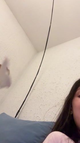 Woman plays with poodle in Montenegro home