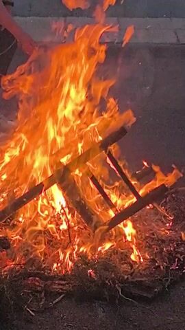 A large bonfire burns intensely outdoors, dominating the frame with vivid orange and yellow flames. The fire consumes a pile of dry organic matter, likely leaves and brush, alongside wooden debris that includes what appears to be parts of a broken wooden chair or stool. The burning materials generate significant heat and light, with some smoke visible rising from the blaze.

The bonfire is situated on a dark, possibly asphalt or dirt, surface. A gray, slightly elevated strip at the top of the frame suggests the edge of a paved road or sidewalk, indicating an urban or semi-urban setting. No individuals are visible in the video, but the presence of the organized fire implies human activity, possibly for a celebration, cleanup, or recreational purposes.

The ambient lighting suggests it could be dusk, night, or an overcast day, as the flames are the primary light source. No specific weather conditions are discernible, and no text is visible within the media. The location context provided indicates this scene is in Fontanarejo, Spain.