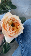 Flower shop activity and floral handling captured in Yekaterinburg