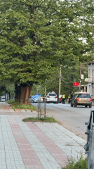Traffic accident draws police response in Berkovitsa, Bulgaria