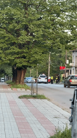 Traffic accident draws police response in Berkovitsa, Bulgaria
