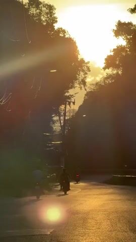 A vertical video shows a winding road at sunset. Sunlight streams through the trees, creating lens flares and illuminating the road with a golden glow. Several motorcycles are visible on the road, with one in the foreground and two in the distance. The trees on either side of the road are dense and dark, silhouetted against the bright sky. Utility lines are visible strung between poles on the left side of the road. The overall mood is serene and picturesque.