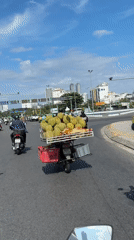 Morning street life documented in Đà Nẵng residential area