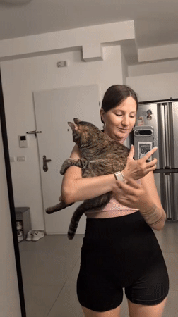 Tabby cat cuddle session, Ramat Gan