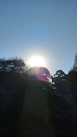 The video shows the sun shining brightly, mostly obscured by the silhouette of trees. As the sun shines, it creates a bright glare and lens flare effects, including a small green dot. The sky is a bright blue initially but fades to a light gray. The trees are silhouetted against the light, making it difficult to discern details about them.