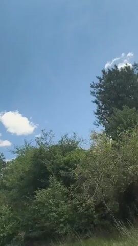 A vertical video captures a moving view of trees and the sky. The sky is blue with scattered white clouds. The trees are lush and green, with a mix of deciduous and coniferous varieties. The camera appears to be in motion, possibly from inside a vehicle, as the trees and sky shift in the frame. The lighting suggests it is daytime with bright sunlight.
