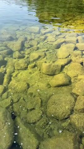 The video shows a close-up, downward-angle view of clear water flowing over a rocky bottom. The rocks are mostly rounded and covered in a green, algae-like substance. Small bubbles are visible on the surface of some of the rocks. The water is clear enough to see the bottom, and the sunlight refracts through the water, creating bright spots and shadows. The upper portion of the frame shows the surface of the water, with a faint reflection of green foliage. The scene appears to be a natural body of water, possibly a lake or a slow-moving river. There are no people or animals visible in the video. The overall impression is one of a serene and natural aquatic environment.