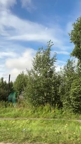 The video shows a moving shot of a rural landscape under a partly cloudy blue sky. The foreground consists of tall green grass and some yellow wildflowers. In the middle ground, there are various trees and vegetation, including a prominent birch tree. Several rural buildings are visible, including a wooden house with a red roof, a house with a corrugated metal fence, and another wooden structure that appears somewhat dilapidated. There is also a sign with Russian text and imagery that is difficult to decipher. The shot appears to be taken from a vehicle moving along a road.
